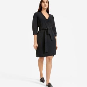 Everlane Black V-Neck Belted Dress